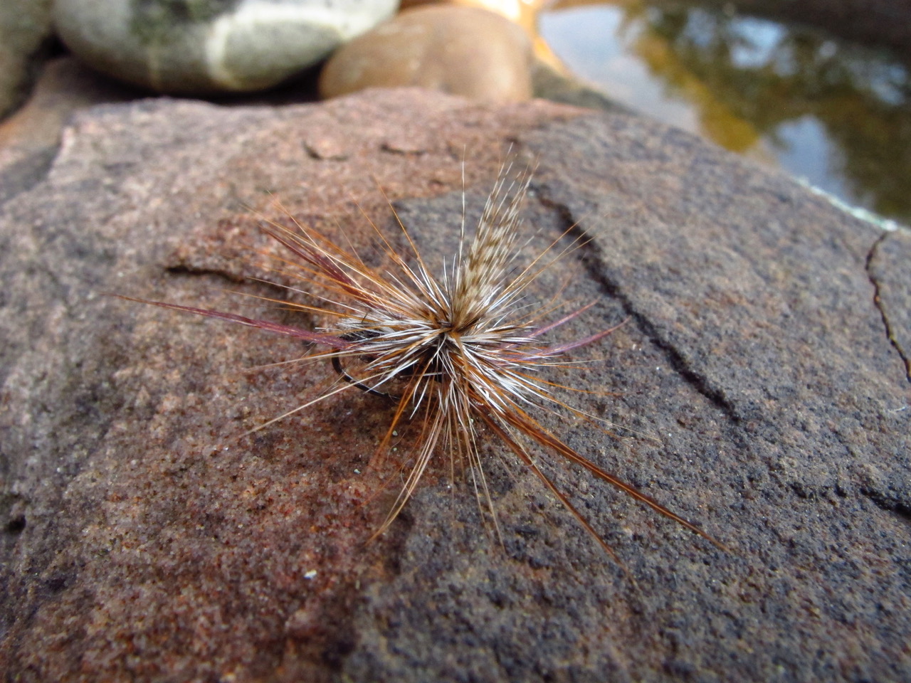 WFS 485 - The Delicate Fly Fisher with Ed Herbst - Small Streams, Cape  Town, Fly Fishing Books 